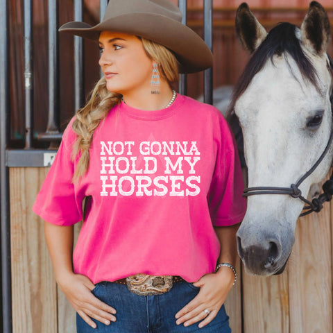"Not Gonna Hold My Horses"