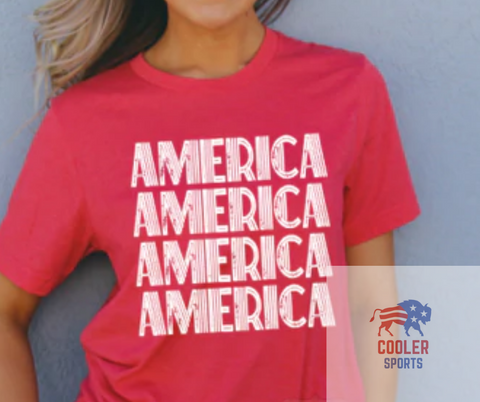 2024 Spring / Summer T-Shirt  "America Stacked"